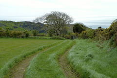 Isle of Man 2013 – Rural Mann