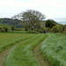 Isle of Man 2013 – Rural Mann