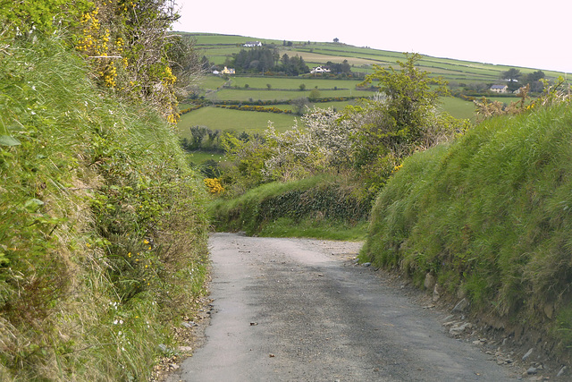 Isle of Man 2013 – Sunken road