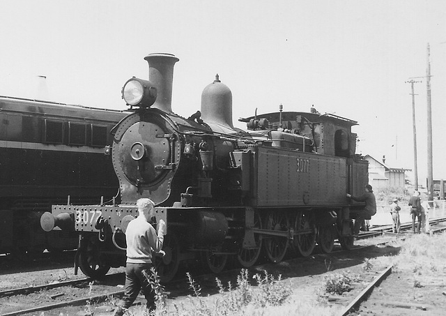 196610 tour 5597 Sydney - Kiama0005