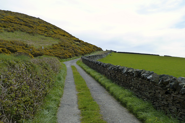 Isle of Man 2013 – Road to the coast from Maughold