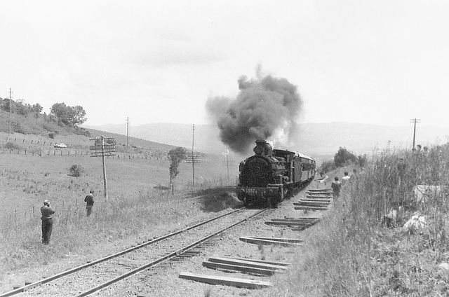 196610 tour 5597 Sydney - Kiama0008