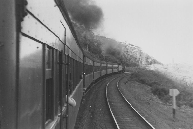 196610 tour 5597 Sydney - Kiama0021