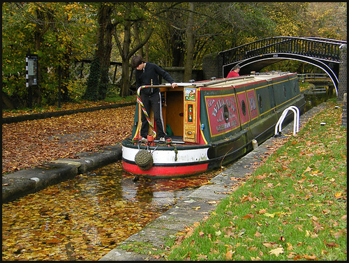 autumn in the lock