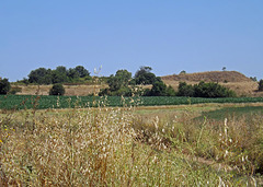The Site of Lavinium, June 2012