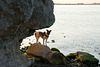 DSC08047-1
