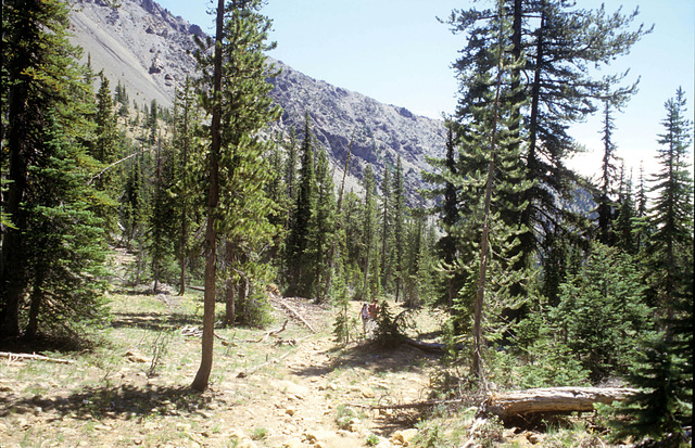 3-07-trail_near_summit_ig_adj