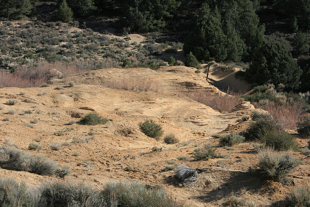 Eroded tailings, Como, Nevada, USA.