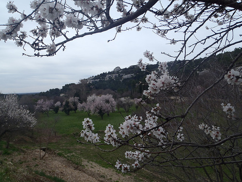 Le Rocher des BAUX  27 02 2014 046