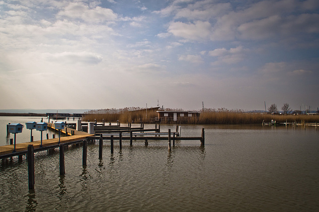 neusiedler see