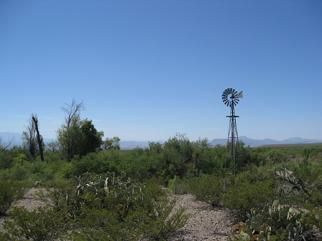 Big Bend NP, Dugout Wells 2575a