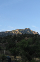 Big Bend NP, Chisos Basin 2571a