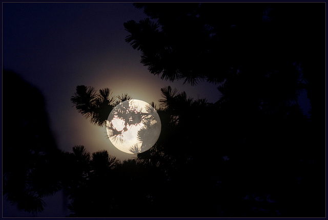 Halo.... la lune
