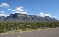 Big Bend NP, Chisos Mountains 2628a