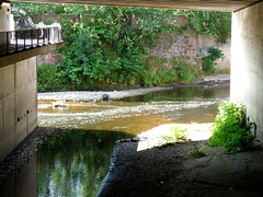 Where the Tame meets the Goyt