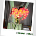 08/07....Bouquet d'anniversaire ...!