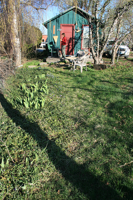 Cottage in the Apple Orchard