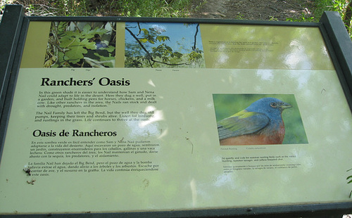 Big Bend NP, Sam Nail Ranch 2665a