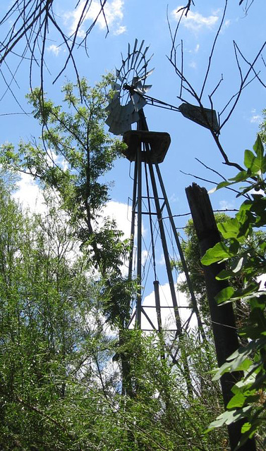 Big Bend NP, Sam Nail Ranch 2668a