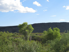 Big Bend NP 2634a