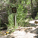 Big Bend NP, Sam Nail Ranch 2670a