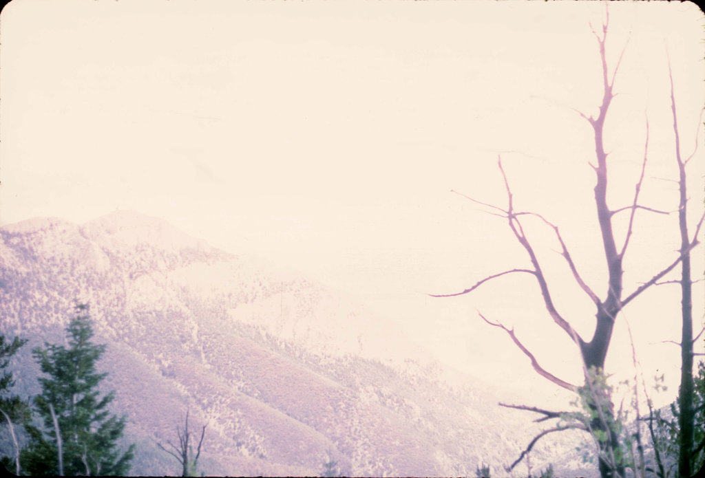 20-overexposed_view_ig_adj