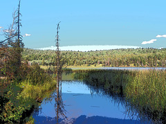 Kidd Lake, British Columbia