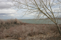 Lahontan Reservoir