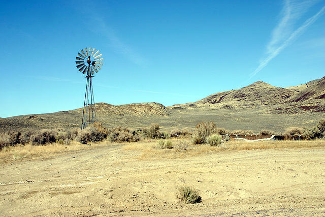 Windmill & watering trough