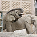 Afrikanische Elefanten (Zoo Basel)