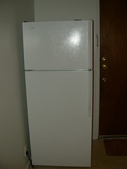 1st apartment - the fridge