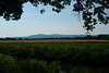 taunus-blick-1160369