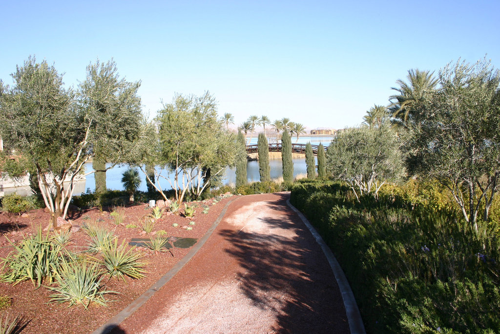 IMG_4587_cleaned