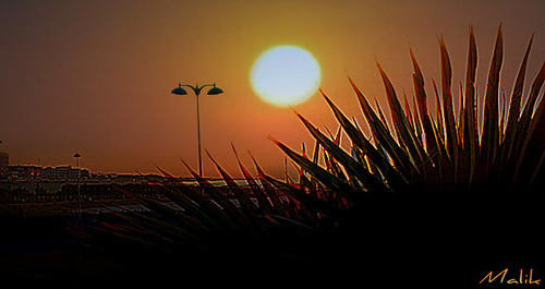 DSCF1361
