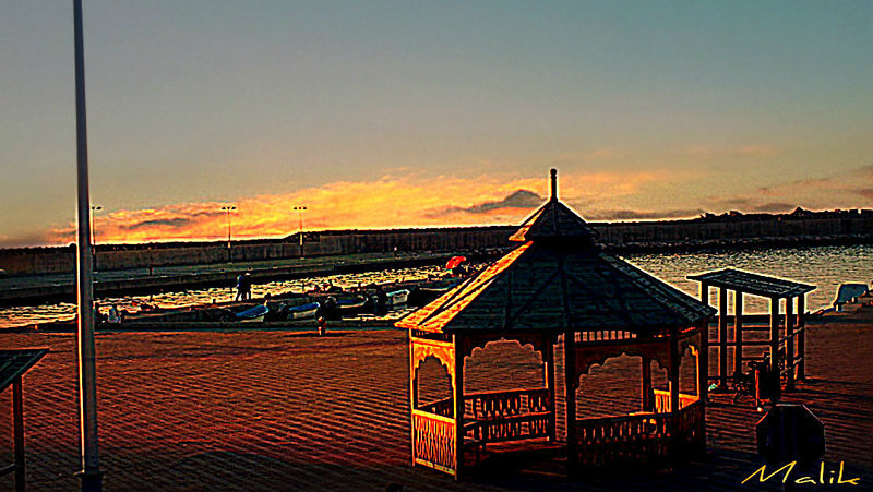 DSCF1364