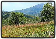 DSCF0272