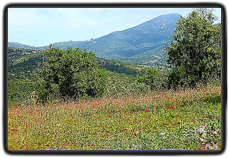 DSCF0272