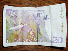 20 Swedish Kronor Bill