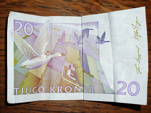 20 Swedish Kronor Bill