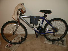 DSCN1465