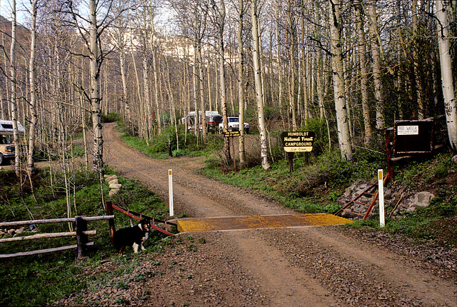 Lye Creek Campground