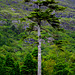 Kylemore Abbey, Connemara, Co. Galway