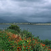 Clifden, Connemara, Co. Galway