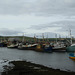 Dingle Town Harbor, Co. Kerry