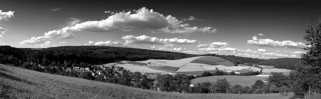 Der Mittelberg bei Neckarkatzenbach (075°)