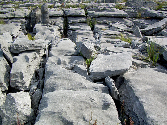 The Burren, Co. Clare