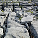 The Burren, Co. Clare