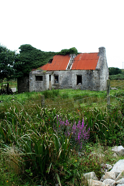 Connemara, Co. Galway