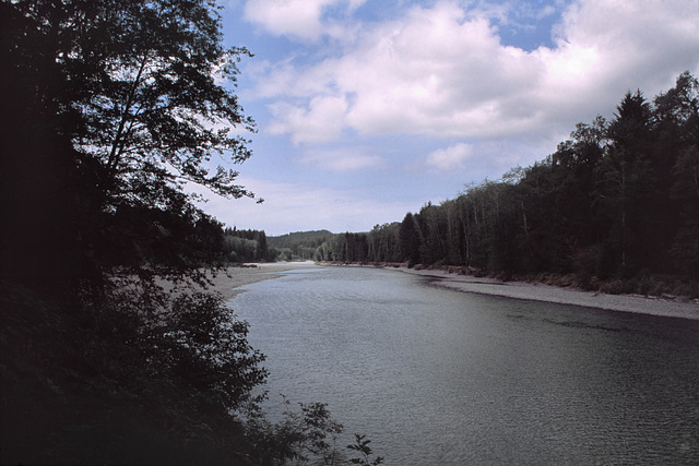 Quinault River, Olympic National Park