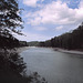 Quinault River, Olympic National Park